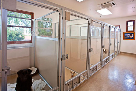 Veterinary hospital runs