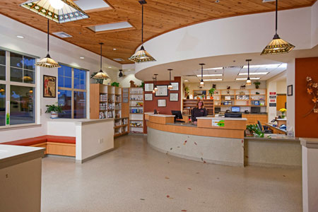 Veterinary hospital reception area