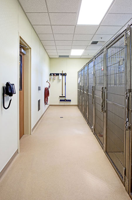 Veterinary hospital runs