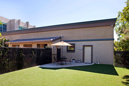 Veterinary hospital exercise yard