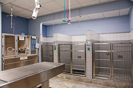 Veterinary hospital runs