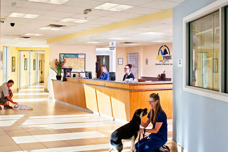 Veterinary hospital reception area