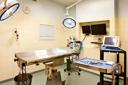 Veterinary hospital surgery suite