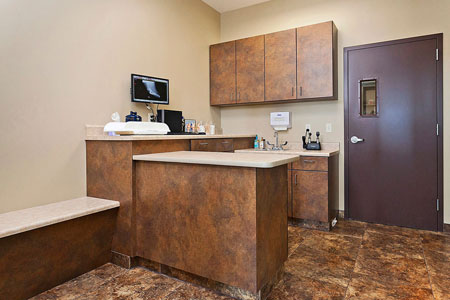 Veterinary hospital exam room