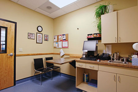 Veterinary hospital exam room