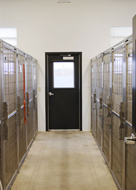 Veterinary hospital runs