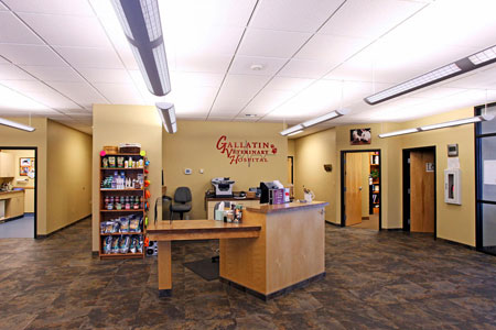 Veterinary hospital reception area