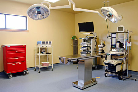 Veterinary hospital surgery suite