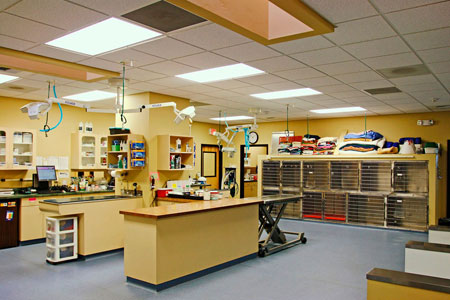 Veterinary hospital treatment room
