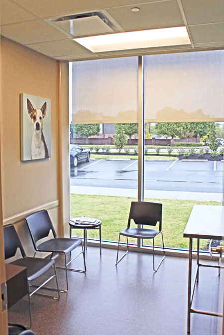 Veterinary hospital exam room