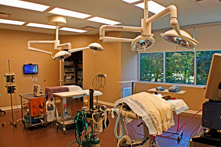 Veterinary hospital surgery suite