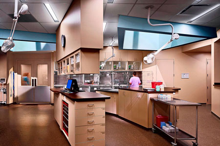 Veterinary hospital treatment room
