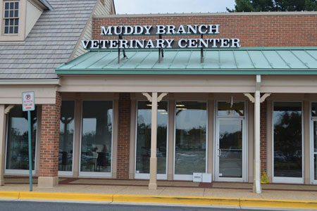 Veterinary hospital exterior
