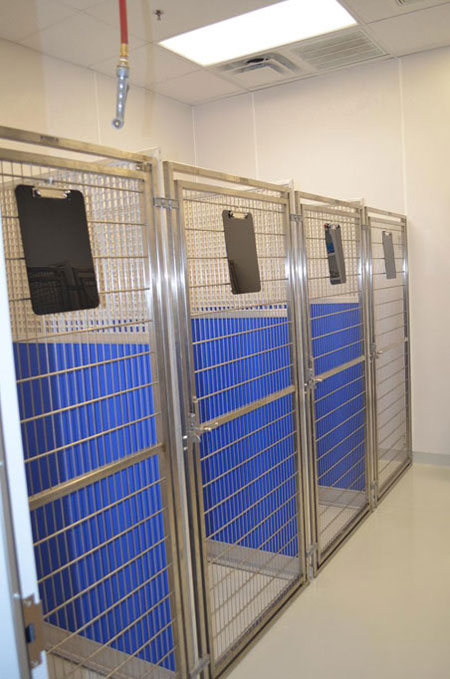 Veterinary hospital runs