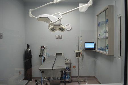 Veterinary hospital surgery suite