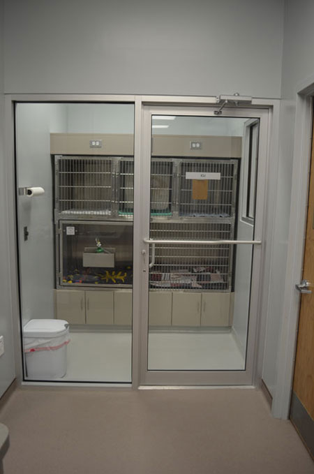 Veterinary hospital waiting area