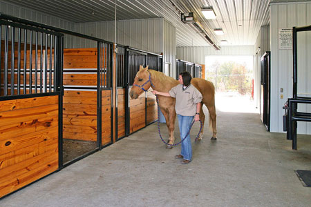 Veterinary hospital runs