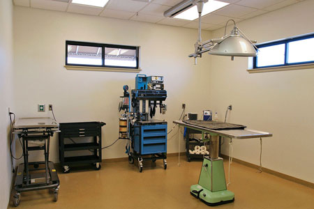 Veterinary hospital surgery suite