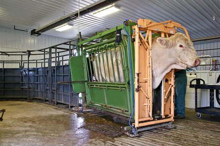 Veterinary hospital waiting area