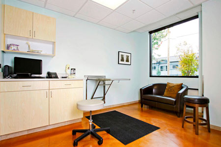 Interior Design Seattle on The Elements Of Style In Veterinary Practice   Hospital Design
