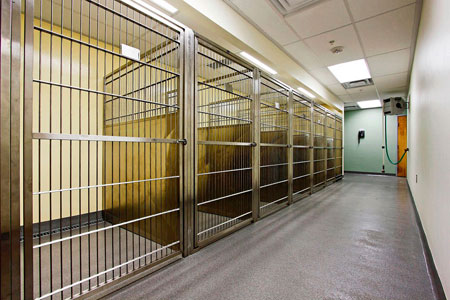 Veterinary hospital runs