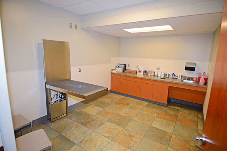 Veterinary hospital exam room