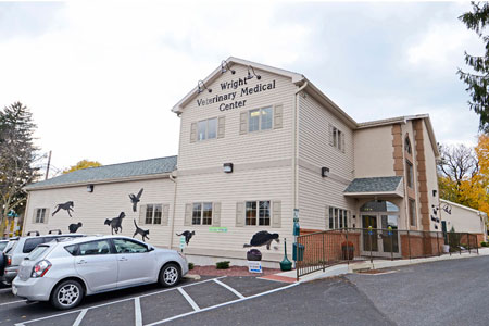 Veterinary hospital exterior