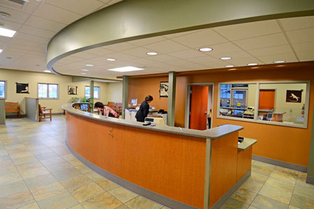 Veterinary hospital reception area