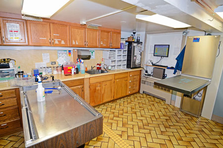Veterinary hospital treatment room