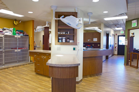 Veterinary hospital treatment room