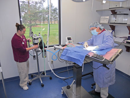 Veterinary hospital surgery suite