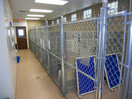 Veterinary hospital kennel/ward