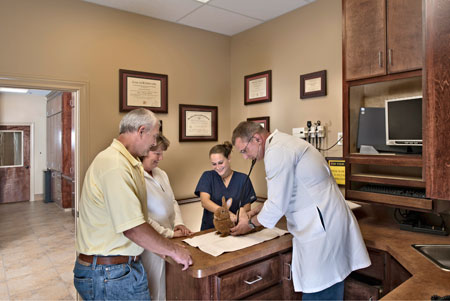 Veterinary hospital exam room