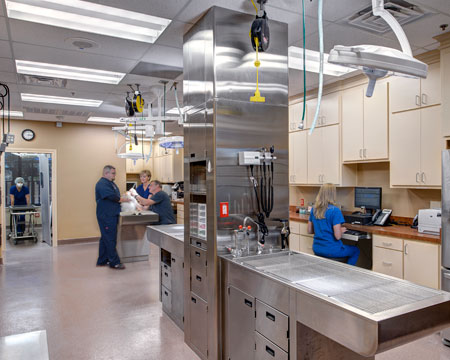 Veterinary hospital treatment room