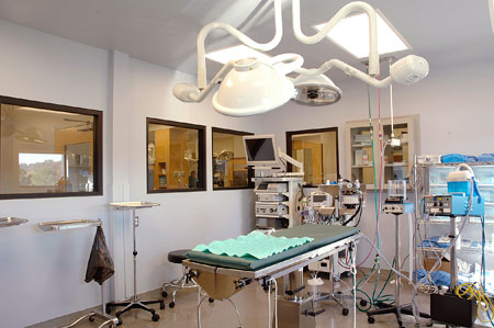 Veterinary hospital surgery suite