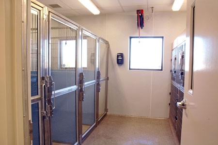 Veterinary hospital kennel/ward