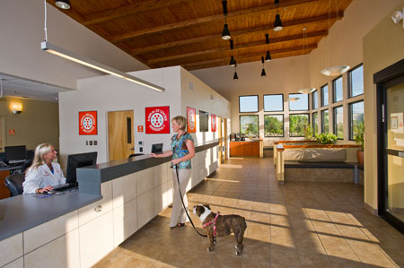 Veterinary hospital reception area