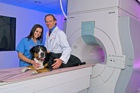 Veterinary hospital CT scanner