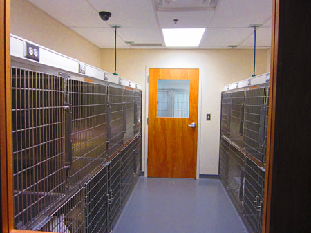 Veterinary hospital kennel/ward