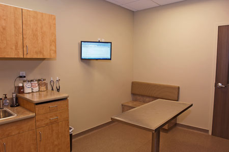 Veterinary hospital exam room