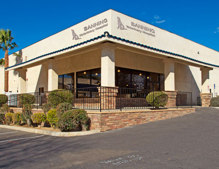 Veterinary hospital exterior