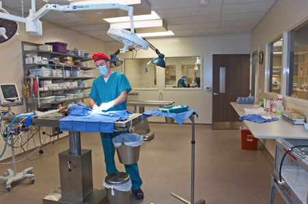 Veterinary hospital surgery suite