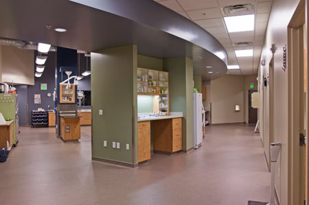 Veterinary hospital treatment room