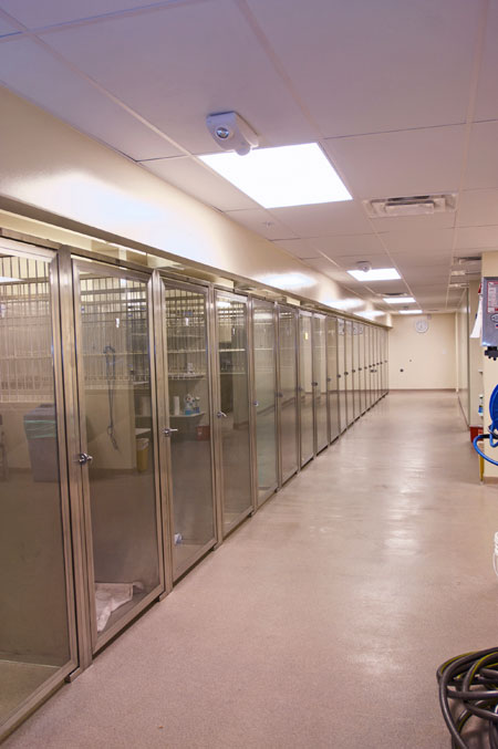 Veterinary hospital kennel/ward