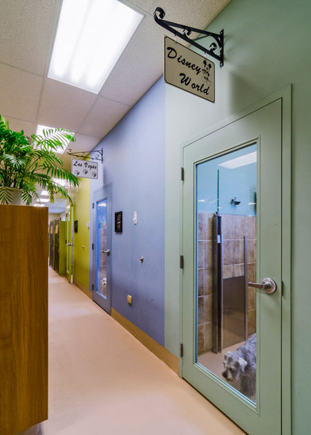 Veterinary hospital kennel/ward