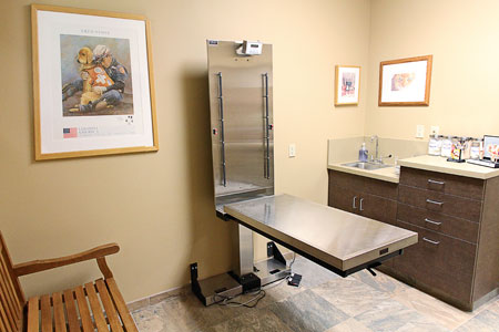 Veterinary hospital exam room