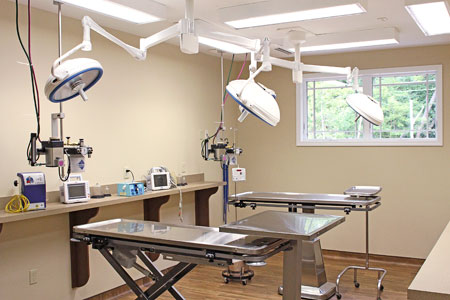 Veterinary hospital surgery suite