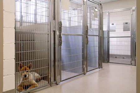 Veterinary hospital kennel/ward