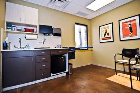 Veterinary hospital exam room