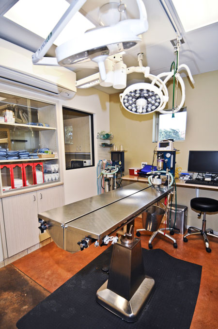 Veterinary hospital surgery suite
